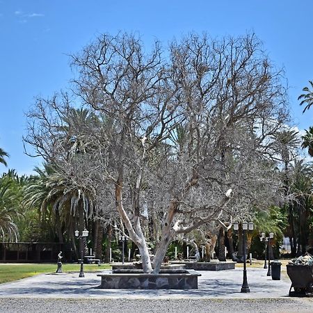San Ignacio  La Huerta Hotel المظهر الخارجي الصورة