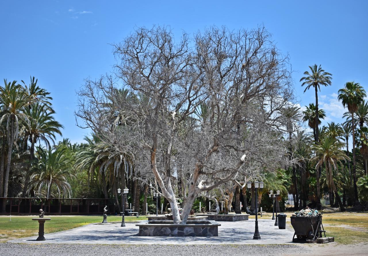 San Ignacio  La Huerta Hotel المظهر الخارجي الصورة